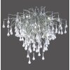 Paul Neuhaus ICICLE Plafoniera Acciaio inox, 9-Luci
