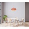 Lucide RAYCO Lampadario a sospensione Fucsia, 1-Luce