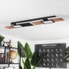 Sourbarie Plafoniera LED Marrone, Aspetto del legno, Nero, 1-Luce