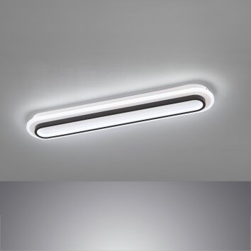 Fischer & Honsel Blithe Plafoniera LED Nero, Bianco, 1-Luce