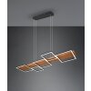 Trio Harper Lampada a Sospensione LED Nero, 1-Luce