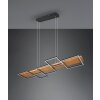 Trio Harper Lampada a Sospensione LED Nero, 1-Luce