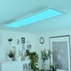 Montalba Plafoniera LED Bianco, 1-Luce, Telecomando, Cambia colore