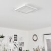 Audrieu Plafoniera LED Bianco, 2-Luci