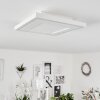 Audrieu Plafoniera LED Bianco, 2-Luci