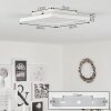 Audrieu Plafoniera LED Bianco, 2-Luci