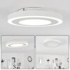 Audrieu Plafoniera LED Bianco, 2-Luci