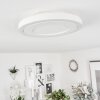 Audrieu Plafoniera LED Bianco, 2-Luci