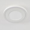 Audrieu Plafoniera LED Bianco, 2-Luci