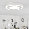 Audrieu Plafoniera LED Bianco, 2-Luci