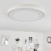 Audrieu Plafoniera LED Bianco, 2-Luci