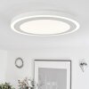 Audrieu Plafoniera LED Bianco, 2-Luci