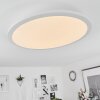 Sani Plafoniera LED Bianco, 1-Luce, Telecomando, Cambia colore