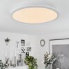 Sani Plafoniera LED Bianco, 1-Luce, Telecomando, Cambia colore