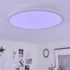 Sani Plafoniera LED Bianco, 1-Luce, Telecomando, Cambia colore