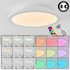 Sani Plafoniera LED Bianco, 1-Luce, Telecomando, Cambia colore