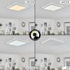 Canditas Plafoniera LED Bianco, 1-Luce