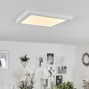 Canditas Plafoniera LED Bianco, 1-Luce