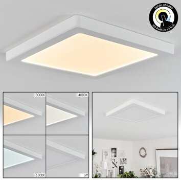 Canditas Plafoniera LED Bianco, 1-Luce