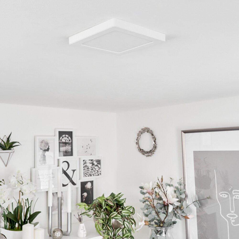Canditas Plafoniera LED Bianco, 1-Luce
