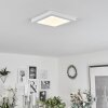 Canditas Plafoniera LED Bianco, 1-Luce