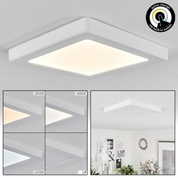 Canditas Plafoniera LED Bianco, 1-Luce