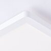 Brilliant Milton Plafoniera LED Bianco, 1-Luce