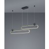 Trio Grant Lampada a Sospensione LED Ottone, Nero, 1-Luce