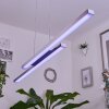 Tamizat Lampada a Sospensione LED Nichel opaco, 2-Luci, Cambia colore