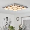 Thiernu Plafoniera LED Nichel opaco, 1-Luce