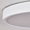 Pontchardon Plafoniera LED Bianco, 1-Luce