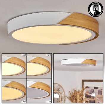 Pontchardon Plafoniera LED Bianco, 1-Luce