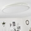 Sani Plafoniera LED Bianco, 1-Luce, Telecomando, Cambia colore