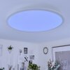 Sani Plafoniera LED Bianco, 1-Luce, Telecomando, Cambia colore