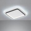 Fischer & Honsel Blithe Plafoniera LED Nero, Bianco, 1-Luce