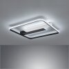 Fischer & Honsel Blithe Plafoniera LED Nero, Bianco, 1-Luce