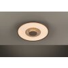 Fischer & Honsel Veit Plafoniera LED Oro, Ruggine, 1-Luce, Telecomando
