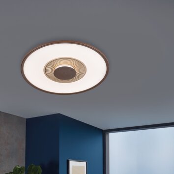 Fischer & Honsel Veit Plafoniera LED Oro, Ruggine, 1-Luce, Telecomando