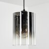 Sarniguet Lampadario a sospensione Nero, 1-Luce