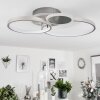 Tagsdorff Plafoniera LED Cromo, Nichel opaco, 1-Luce