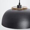 Wambez Lampadario a sospensione Nero, 1-Luce