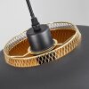 Wambez Lampadario a sospensione Nero, 1-Luce