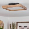 Longvic Plafoniera LED Marrone, Aspetto del legno, Nero, 1-Luce