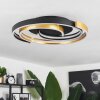 Golega Plafoniera LED Ottone, Nero, 1-Luce