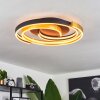 Golega Plafoniera LED Ottone, Nero, 1-Luce