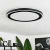 Audrieu Plafoniera LED Nero, Bianco, 2-Luci