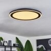 Audrieu Plafoniera LED Nero, Bianco, 2-Luci