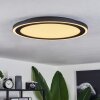 Audrieu Plafoniera LED Nero, Bianco, 2-Luci