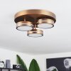 Huallilemu Plafoniera LED Ottone antico, 3-Luci