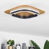 Valduge Plafoniera LED Oro, Nero, 1-Luce